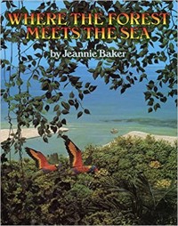 Where the forest meets the sea