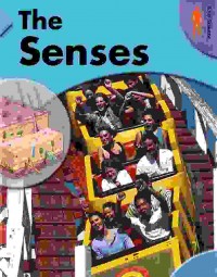 The senses