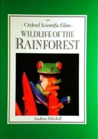 Wildlife of the rainforest
