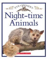 Night-time animals