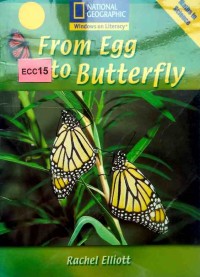 From egg to butterfly