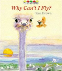 Why can't I fly?