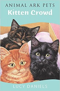 Kitten crowd