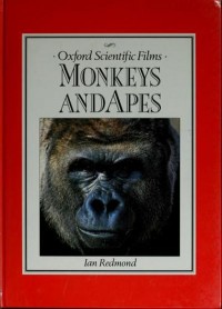 Monkeys and apes