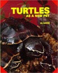 Turtles as a new pet