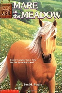 Mare in the meadow