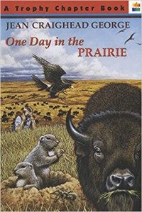 One day in the prairie