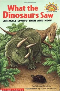 What the dinosaurs saw