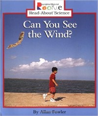 Can you see the wind?