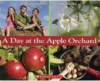 A day at the apple orchard