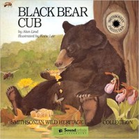 Black bear cub