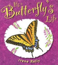 It's a butterfly's life