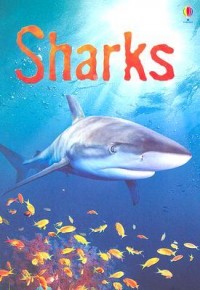 Sharks