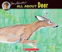 All about deer