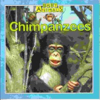 Chimpanzees