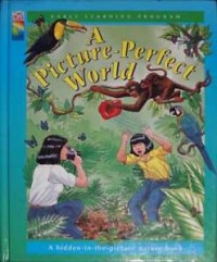 A Picture-perfect world