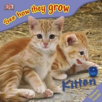 Kitten