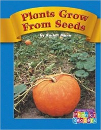 Plants grow from seeds