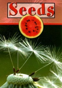 Seeds