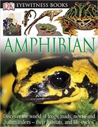 Amphibian