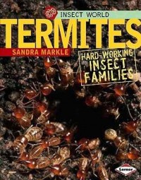Termites : hardworking insect families