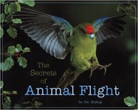 The secrets of animal flight