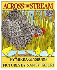Across the stream