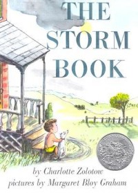 The storm book