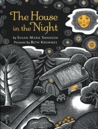 The house in the night