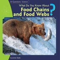 What do you know about food chains and food webs?