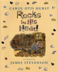 Rocks in his head