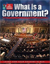 What is a government?