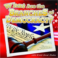 What are the branches of democracy?