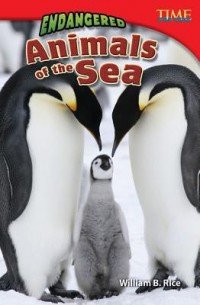 Endangered animals of the sea
