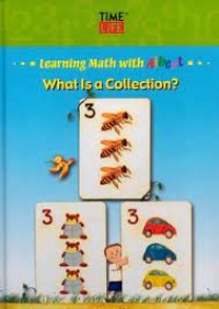 What is a collection?