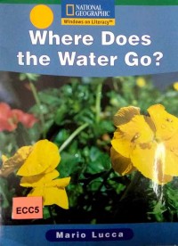 Where does the water go?