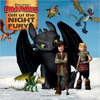 Gift of the night fury
