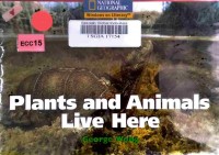 Plants and animals live here