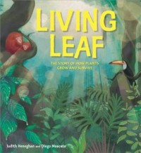 Living leaf : the story of how plants grow and survive