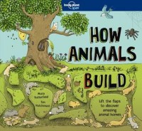 How animals build : lift the flaps to discover amazing animal homes