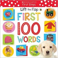 Lift the flap first 100 words