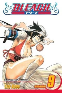 Bleach, Vol. 9: Fourteen Days for Conspiracy