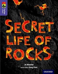 Oxford Reading Tree TreeTops inFact: Level 11: Secret Life of Rocks