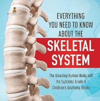 Everything You Need to Know About the Skeletal System | The Amazing Human Body and Its Systems Grade 4