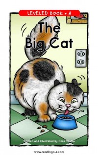 Leveled book a : the big cat
