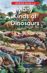 Leveled book c : many kinds of dinosaurs