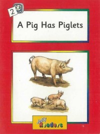 A pig has piglets